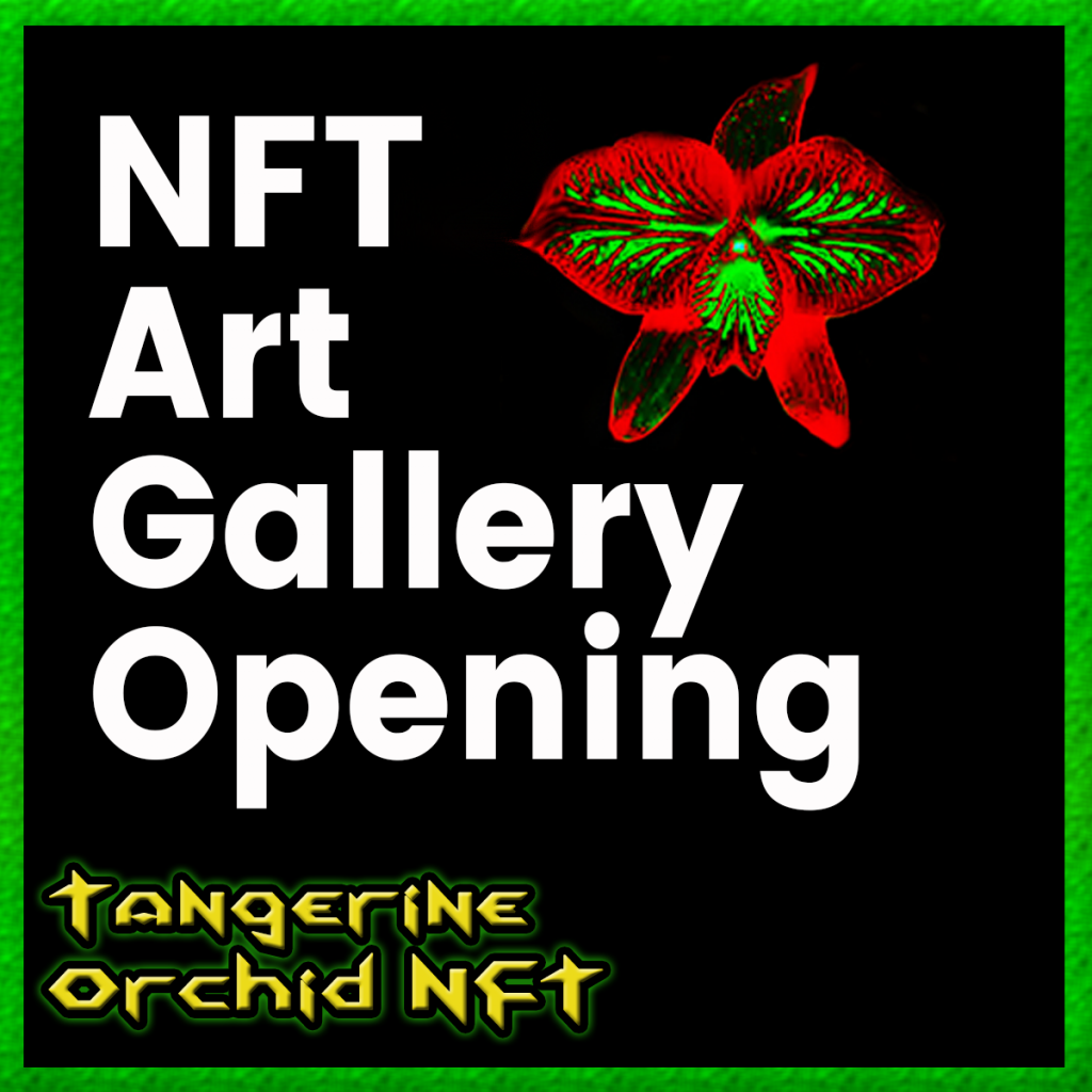 NFT Gallery Opening
